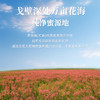 戈宝红麻 蜂蜜500g 商品缩略图3