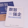 数智强企：国有企业数智化转型指南 破解转型关键难题 从技术落地到工具赋能全流程政策案例参考企业管理工具书籍 商品缩略图1
