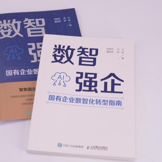 数智强企：国有企业数智化转型指南 破解转型关键难题 从技术落地到工具赋能全流程政策案例参考企业管理工具书籍 商品图1