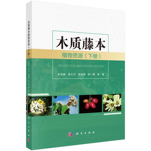 木质藤本植物资源（下册） 商品图0