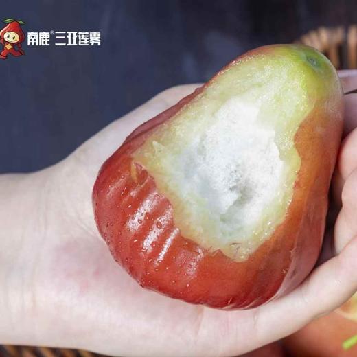 南鹿一号有机莲雾#脆甜多汁入口化渣，甜度11+，天然有机风味浓郁，顺丰空运 商品图6