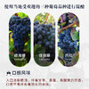 首彩 百事活B906红葡萄酒15度 750ml 法国·AOP原瓶原装进口伴手礼 商品缩略图4