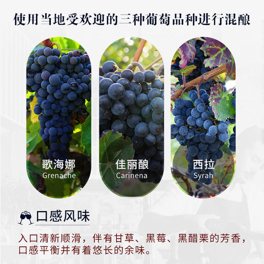首彩 百事活B906红葡萄酒15度 750ml 法国·AOP原瓶原装进口伴手礼 商品图4
