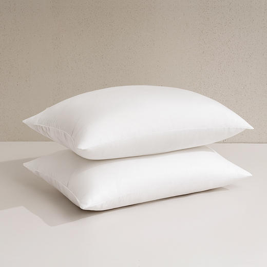 水星家纺丨DH思梦抗菌对枕 商品图1