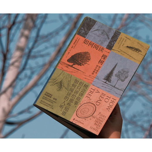 《如何阅读一棵树：探寻树木的生命密语》 商品图9