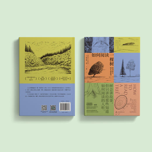 《如何阅读一棵树：探寻树木的生命密语》 商品图13