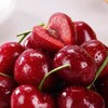 【产地直发】大连美早樱桃 色泽浓郁 清甜爽口  饱满多汁 商品缩略图2