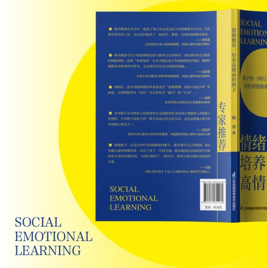 《情绪教养：培养高情商的孩子》 商品图2