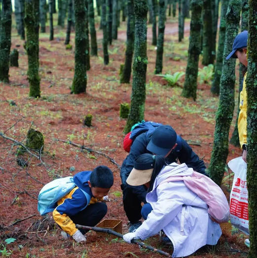 亲子徒步博物探索营次卡 | 每周一山，从春走到冬，与孩子做山野的朋友，解锁博物成长年卡！！ 商品图11