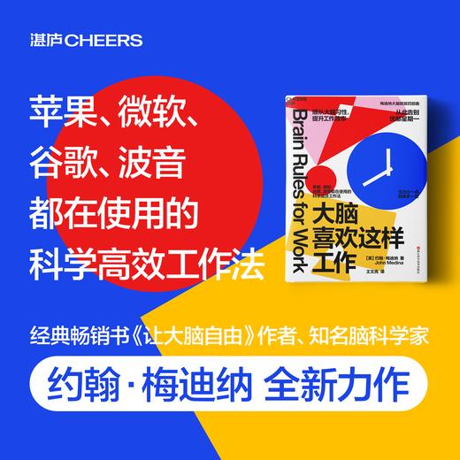 大脑喜欢这样工作 顺从大脑习性，提升工作效率 商品图0
