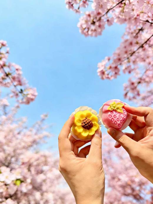 春田花花米糕（6个装）
4月7日开始发货 商品图1