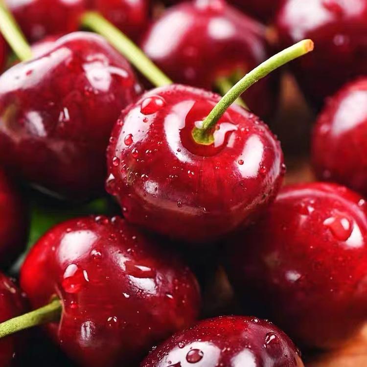 【产地直发】大连美早樱桃 色泽浓郁 清甜爽口  饱满多汁
