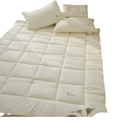 无印全棉A类床垫良品纯色无荧光床褥加厚保护垫烫画床垫0.9M学生 商品图4