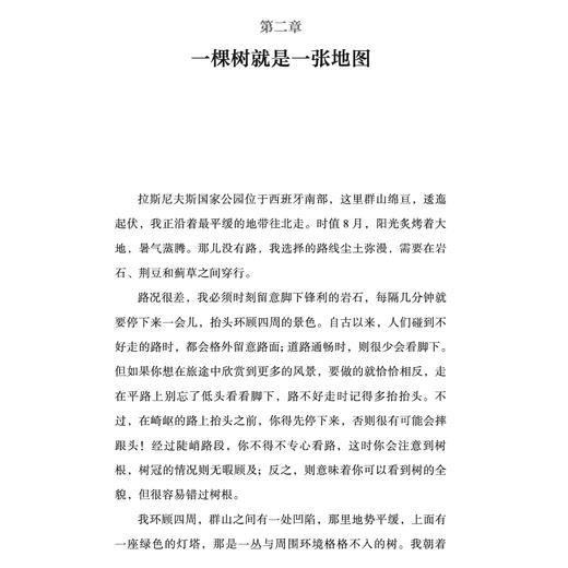 《如何阅读一棵树：探寻树木的生命密语》 商品图5