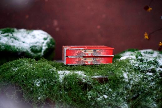 【限量定制珍藏本】命若朝霜：《红楼梦》里的法律、社会与女性【布面精装+书口喷绘+定制封面+局部烫印+珍藏编号页+签名题词钤印】限量1000册 商品图8