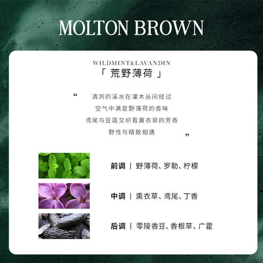 【有南】MoltonBrown荒野薄荷薰衣草英伦皇室香氛沐浴露300ml 商品图1
