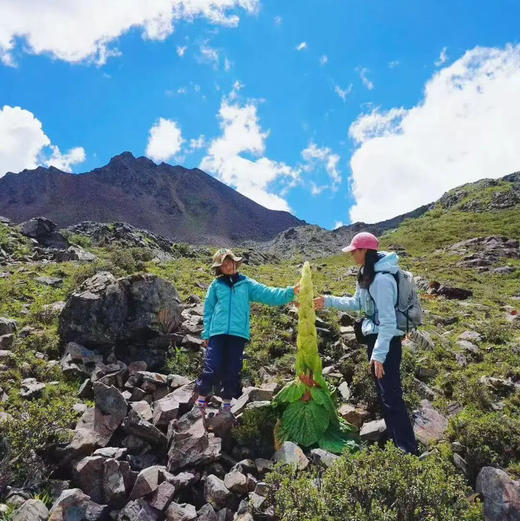 亲子徒步博物探索营次卡 | 每周一山，从春走到冬，与孩子做山野的朋友，解锁博物成长年卡！！ 商品图13