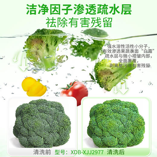 洗得宝牌生物酵素洗洁精 500g/瓶 商品图5