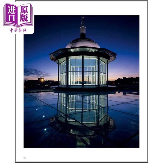 【中商原版】Hillier：Selected Works 进口艺术 希利尔：精选作品 商品图4