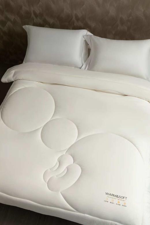 【堂皇】堂皇绵芙大豆春秋被-白色 商品图2