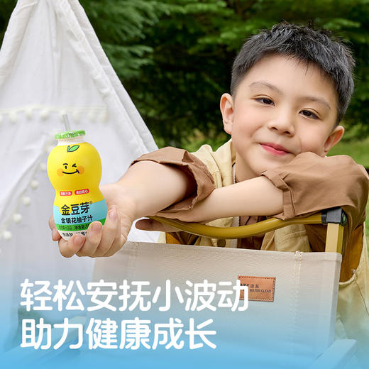 【限时活动】葫芦瓶金银花柚子汁健康饮品便携155ml/瓶 商品图3