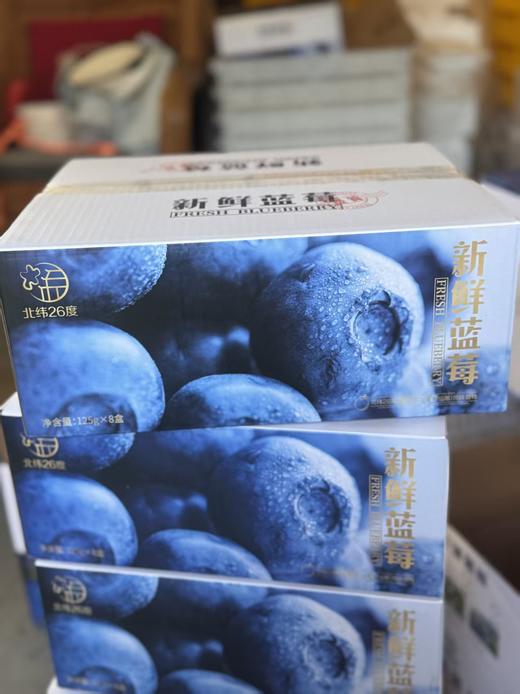 脆甜的花香蓝莓   高甜爆汁 自带花香 果肉脆甜  顺丰空运 商品图6