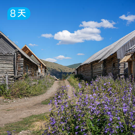 我的阿勒泰 30公里轻徒步 一次走遍阿勒泰六大秘境 8日 商品图10