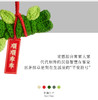 abovezero零上|思茅抹草特色挂件包挂车挂香味手工钩织 商品缩略图1