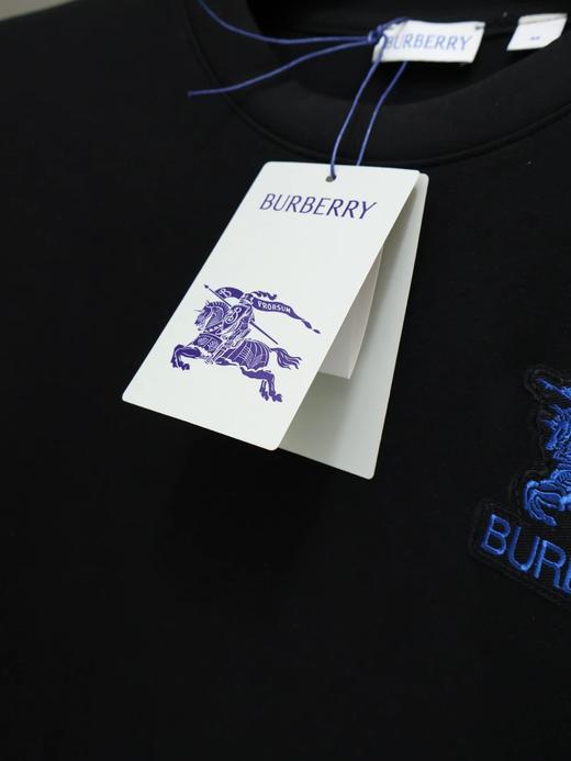 F0306126早春植绒刺绣工艺水柔棉工艺情侣款圆领套头卫衣 商品图8