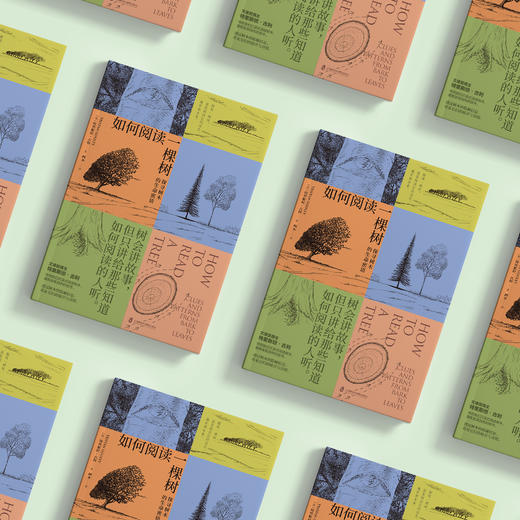 《如何阅读一棵树：探寻树木的生命密语》 商品图11