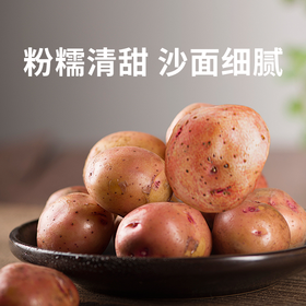 【云南高原红皮黄心土豆】色泽红润黄心细腻 炒菜百搭软糯入味