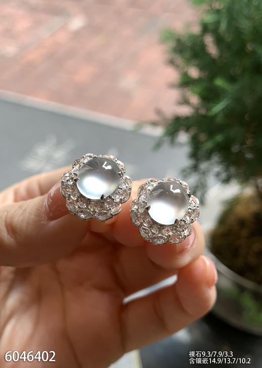 6046402，蛋面耳钉。具体价格微信咨询 商品图2