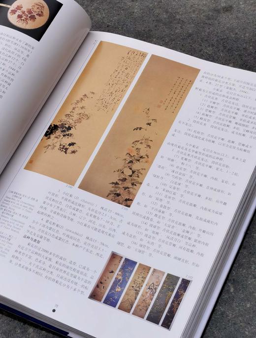 【1.3折】《中国名花》，布面精装，16开，铜版彩印，锁线装，张启翔著，323页，云南人民出版社1999年版，定价520，售价68元。品相95成。 商品图13