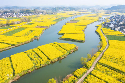 江淮春摄·花海秘境 7天团：安徽芜湖响水涧油菜花、安庆天峡杜鹃花、泾县油纸伞、桃花潭、查济古村、家朋梯田、马鞍山桃花 商品图6