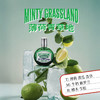 Boudart铂得 薄荷青草地/冰镇的西瓜/海岸俱乐部香氛喷雾40ml 商品缩略图2