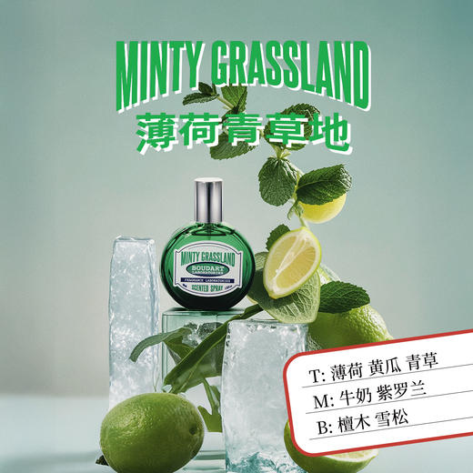 Boudart铂得 薄荷青草地/冰镇的西瓜/海岸俱乐部香氛喷雾40ml 商品图2