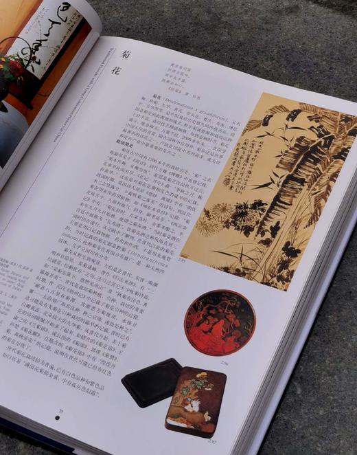 【1.3折】《中国名花》，布面精装，16开，铜版彩印，锁线装，张启翔著，323页，云南人民出版社1999年版，定价520，售价68元。品相95成。 商品图12