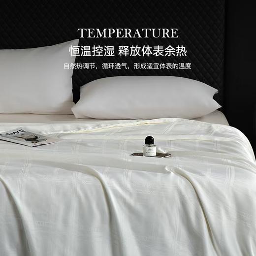 新品优质蚕丝夏被 商品图2