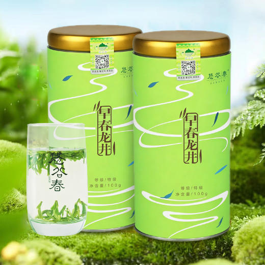 2026新茶 • 早春龙井100克，鲜香嫩 商品图1