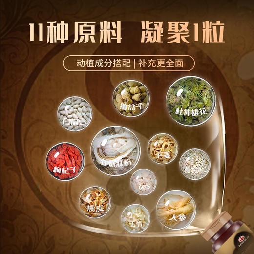 杜仲雄花牡蛎肽压片糖果 商品图2