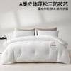 日式无印三防被芯良品防油防水防污柔软加厚被子秋冬保暖双人单人 商品缩略图1