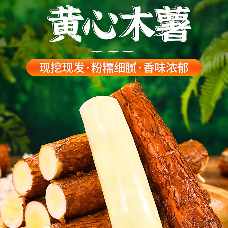 【广西黄心木薯】营养粗粮粉糯可口 香甜起沙软糯回甘