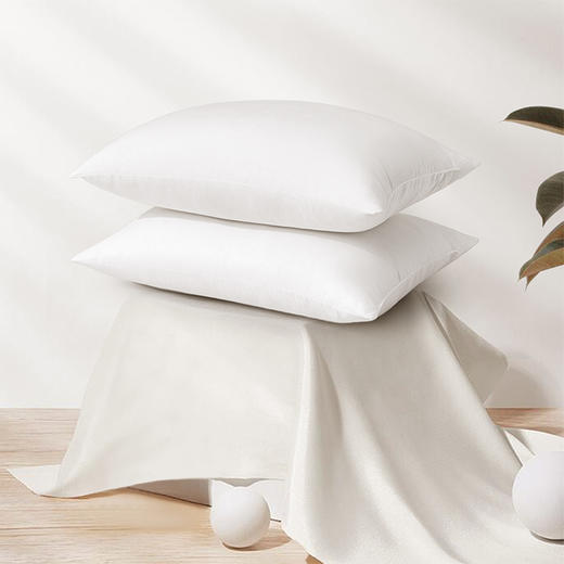 水星家纺丨DH思梦抗菌对枕 商品图4