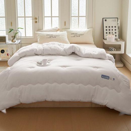 【特价】日系无印亲肤大豆被良品纯色冬被双人被芯秋冬加厚被子 商品图1