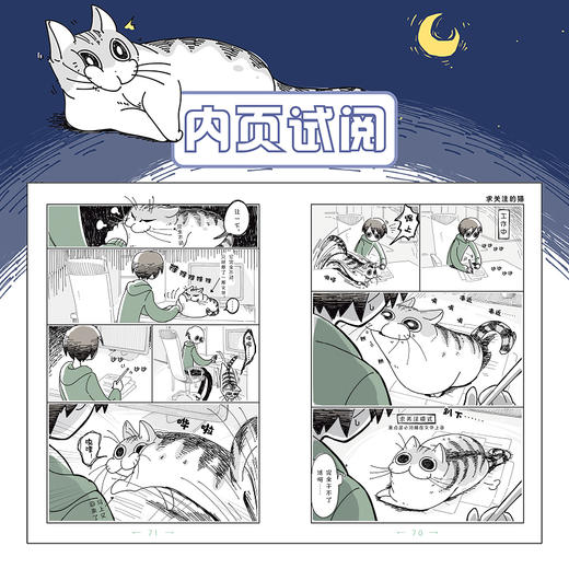 【预售】与猫共度的夜晚. 1（随书赠送精美书签4张）关于养猫我一直是新手，幽默搞笑萌宠猫咪丘尔嘉不可思议的日常生态，全彩漫画 商品图7