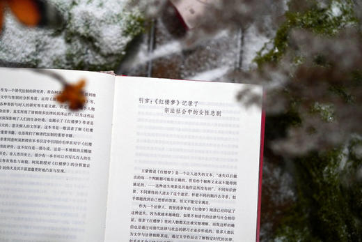 【限量定制珍藏本】命若朝霜：《红楼梦》里的法律、社会与女性【布面精装+书口喷绘+定制封面+局部烫印+珍藏编号页+签名题词钤印】限量1000册 商品图10