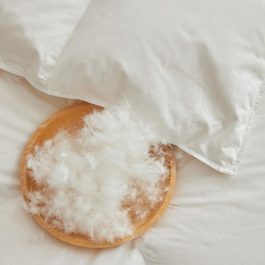 日式无印95白鹅绒被芯良品羽绒被秋冬保暖羽绒被子白色60全棉贡缎 商品图3