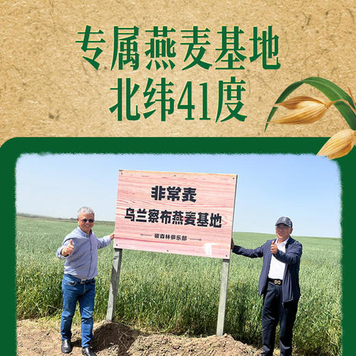 【非常麦】有机燕麦奶1L（品牌直发） 商品图2