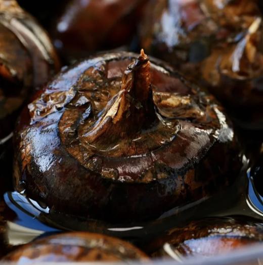 春日必不可少的脆甜多汁水果：广西荔浦马蹄手提礼盒，5斤送削皮刀，皮薄肉嫩，水分充足，清甜无渣，爽脆可口（生鲜发出不拦截，不退回） 商品图4