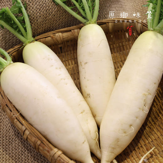 生态萝卜/白萝卜/长萝卜（农场直发-顺丰包邮）| 长萝卜5斤/箱，成都郫都区基地【原乡农场，自产自销】 商品图2